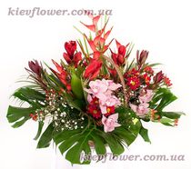 Exotic basket 